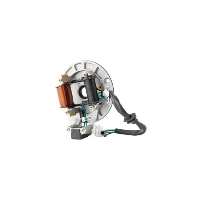 _ESTATOR CATIIMOTO 2 BOBINAS HD BIZ 100-105 (x1)