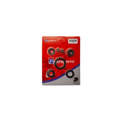 _ML C110 (x1)